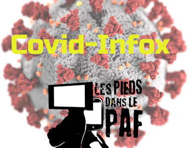 Covid-Infox : un atelier pour comprendre